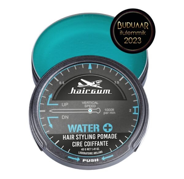 HAIRGUM Water+ Hair Styling Pomade 40 g FOR MEN